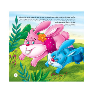 کتاب داستان آنا و مرغ نوک طلا