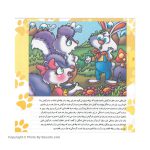 Gray Rabbit And Sly Fox Story Book