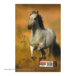Arman 50 Page 3 Line Notebook Horse