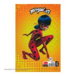 Puzzle 80 Sheet Notebook Ladybug 2