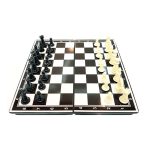 Magnetic Chess Backgammon
