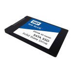 SATAWestern Digital Blue WDS250G2B0A Internal SSD 250 GB-01