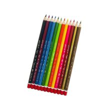 مداد رنگی 12 رنگ لاک پشت ایرانی