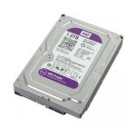 Western Digital HDD Purple 1TB